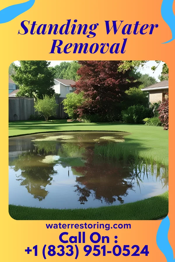 Standing Water Removal in Alice, TX